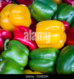 Rot, Gelb und Grün frisch gepflückt Paprika für Verkauf an den Farmers Market Stockfoto