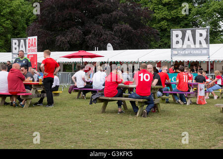 Wales-Fans in der Fanzone in Cardiff vor die Euro 2016 match zwischen Wales und der Slowakei. Stockfoto