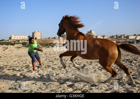 Gaza, Palästina. 5. April 2016. Ein junger Palästinenser trainiert sein Pferd in der Nähe von Gaza Hafenstadt im Westen von Gaza-Stadt. © Mohammed Al Hajjar/RoverImages/Pazifik Presse/Alamy Live-Nachrichten Stockfoto