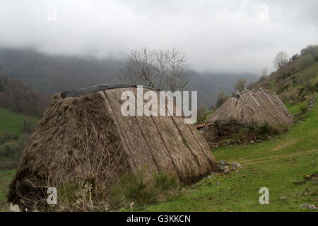 Braña der Pornacal ist die größte und am besten von Brañas Somiedo, erhalten wo Traditionen appellate Vaqueiros in einer Umgebung von unvergleichlicher Schönheit überleben. Von 32 Teitos oder Hütten, gruppiert in der Nachbarschaft von La Prida, El Mediu, El Ríu und El Cabu gebildet, auf dem rechten Ufer der Geburt des Pigüeña Flusses, dominieren Wiesen der Requexada liegt. Die Teitos haben einen Block von Stein rechteckig, Satteldach mit gebogenen Fliesen und Steinmauern hinzugefügt. Wie üblich, hat die Teito seinen Zweigen bedeckt mit trockenen Besen; der Innenraum gliedert sich zwischen das Cockpit für Mensch und Tier in einem sm Stockfoto