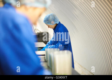 Frau trägt Haarnetz arbeiten auf Fertigungslinie Stockfoto