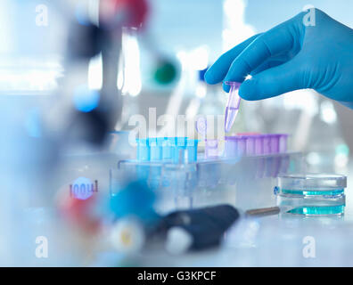 Ein Eppendorf mit einer Probe verwendet in der analytischen Chemie und DNA-Extraktion erwartet, in einem Labor testen Stockfoto