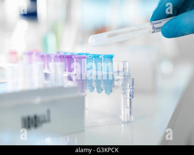 Wissenschaftler, die Vorbereitung eines DNA-Abstrich für die Analyse in einem Labor für forensische oder Vaterschaft testen Stockfoto