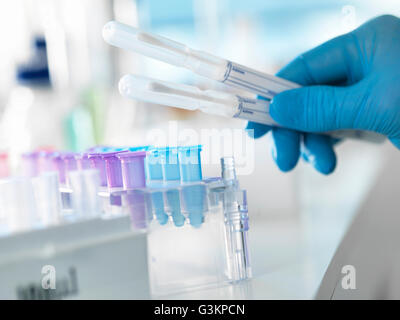 Wissenschaftler, die Vorbereitung eines DNA-Abstrich für die Analyse in einem Labor für forensische oder Vaterschaft testen Stockfoto