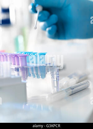 Wissenschaftler, die Vorbereitung eines DNA-Abstrich für die Analyse in einem Labor für forensische oder Vaterschaft testen Stockfoto