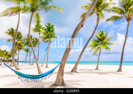 Hängematte zwischen Palmen am Strand, Dominikanische Republik, Karibik Stockfoto