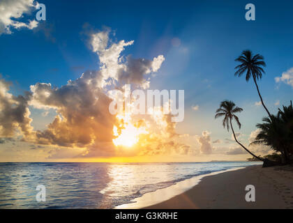 Palme, die Silhouette am Strand bei Sonnenuntergang, Dominikanische Republik, Karibik Stockfoto