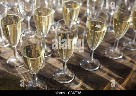 Sammlung von Champagner in Champagner-Flöten Stockfoto
