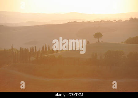 Landschaft mit entfernten Hügeln im nebligen Sonnenaufgang, Toskana, Italien Stockfoto