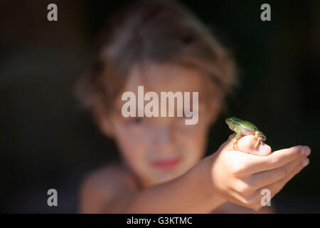 Porträt eines jungen hochhalten Frosch einerseits Buonconvento, Toskana, Italien Stockfoto