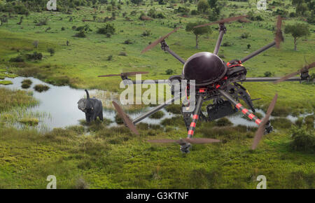 Erhöhte Ansicht der Drohne fliegt über Elefanten, Okavango Delta, Botswana Stockfoto