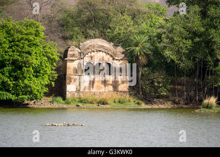 Eine alte Tiger-Tempel in Indien Stockfoto