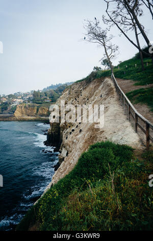 Klippen entlang des Pazifischen Ozeans, in La Jolla, Kalifornien. Stockfoto