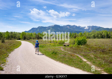 Trail, Isar Auen, Brauneck und Benediktenwand hinter Steinbach, Gaißach, Isarwinkel, Upper Bavaria, Bavaria, Germany Stockfoto