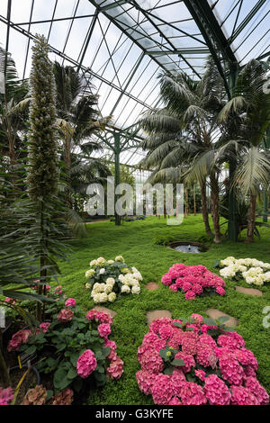 Gewächshaus, Wilhelma Zoologischer und Botanischer Garten, Stuttgart, Baden-Württemberg, Deutschland Stockfoto