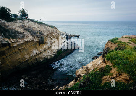 Blick auf die felsigen Pazifikküste in La Jolla, Kalifornien. Stockfoto