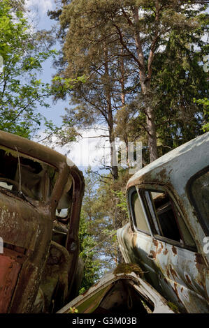 Autos am Schrottplatz in Natur, Schweden, Europa Stockfoto