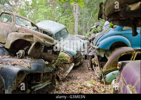 Autos am Schrottplatz in Natur, Schweden, Europa Stockfoto