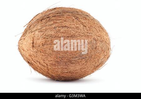 Kokosnuss. Weiße Backdround isoliert. Mit Licht und Schatten. Stockfoto
