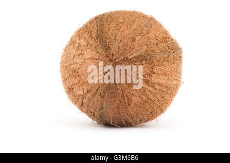 Kokosnuss. Isoliert auf weißem Hintergrund. Mit Licht und Schatten. Stockfoto