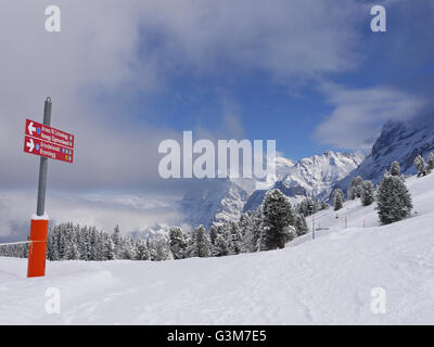 Wegweiser an der Skipiste von Kleine Scheidegg, Grindlewald mit dem Wetterhorn im Hintergrund Stockfoto