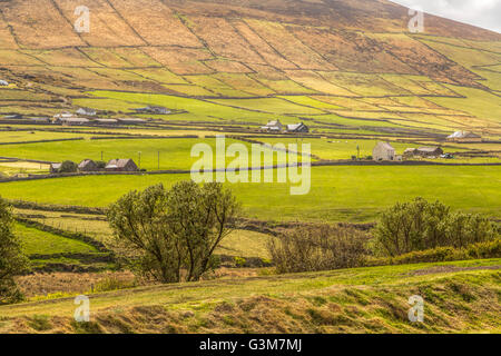 Gepatcht Landschaft gesehen von Blasket Centre, Dunquin, Halbinsel Dingle, County Kerry, Munster Provinz, Republik Irland Stockfoto