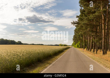 leerer Straße, Landstraße in ländlichen Landschaft Stockfoto