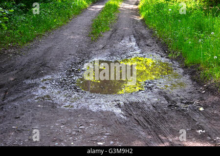 Pfütze auf einem ländlichen Feldweg mit Reflexion und grasgrün Stockfoto