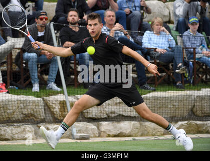 Stuttgart, Deutschland. 13. Juni 2016. Dominic Thiem Österreichs im Kampf gegen Philipp Kohlschreiber Deutschlands während des ATP-Turniers in Stuttgart, Deutschland, 13. Juni 2016. Die Partie, die am 12. Juni 2016 stattfinden sollen, musste wegen Regens verschoben werden. Foto: Marijan Murat/Dpa/Alamy Live News Stockfoto