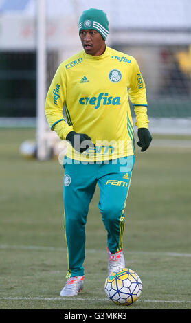 Sao Paulo, Brasilien. 13. Juni 2016. Ausbildung von Bäumen - Fabricio, Spieler von SE Palmeiras, während des Trainings, die Fußballakademie in Barra Funda. Bildnachweis: Cesar Greco/FotoArena/Alamy Live-Nachrichten Stockfoto