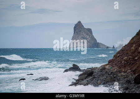 Felsen an der Küste von Benijo Strand (Playa de Benijo), Teneriffa, Spanien Stockfoto