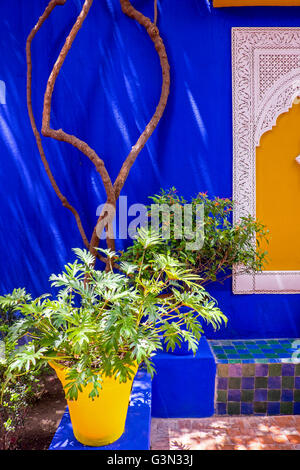 Kakteen in den Gärten von Majorelle, Marrakech/Marrakesch, Marokko Stockfoto