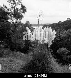 Imposante Truppenübungsplätze in Vila Velha, Brasilien 1966. Beeindruckende Naturlandschaften in Vila Velha, Brasilien 1966. Stockfoto