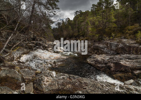 Hund fällt in Glen Affric, Schottland. Stockfoto