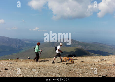 Landschaftsbild von paar wenige Hunde inmitten der umliegenden Berge und Seen von Mount Snowdon Stockfoto