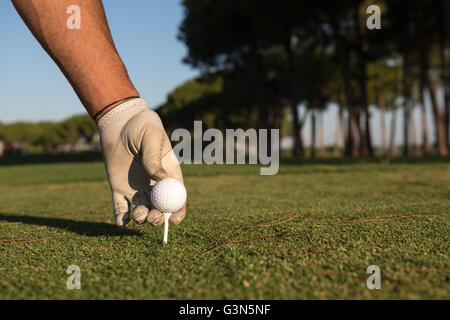 Nahaufnahme des Golf Spieler Hand Ball am Abschlag zu platzieren. Schöner Sonnenaufgang am Golfplatz Landschaft im Hintergrund Stockfoto