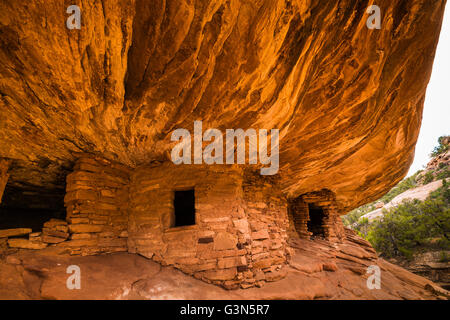 Haus auf Feuer Ruine auf dem BLM Land in South Fork des Mule Canyon in (vorgeschlagen, ab 2016) Bären Ohren National Monument, Utah, USA Stockfoto