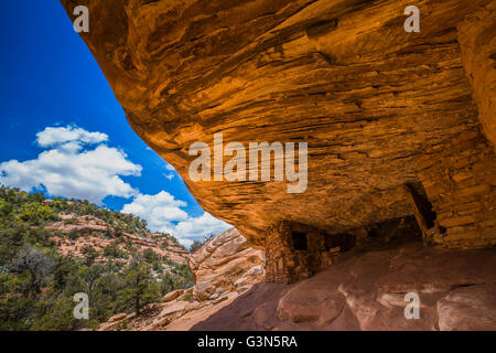 Haus auf Feuer Ruine auf dem BLM Land in South Fork des Mule Canyon in (vorgeschlagen, ab 2016) Bären Ohren National Monument, Utah, USA Stockfoto