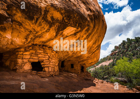 Haus auf Feuer Ruine auf dem BLM Land in South Fork des Mule Canyon in (vorgeschlagen, ab 2016) Bären Ohren National Monument, Utah, USA Stockfoto