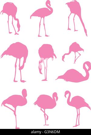 Vektor-Illustration von Flamingo Vögel Silhouetten Stock Vektor