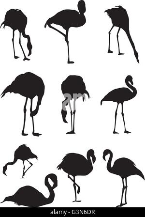 Vektor-Illustration von Flamingo Vögel Silhouetten Stock Vektor