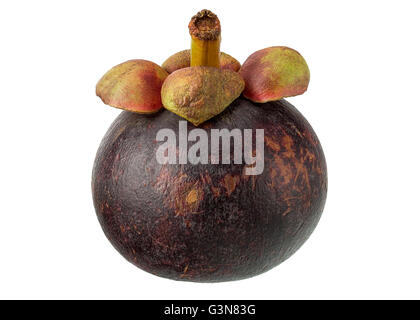 Frischen Mangostan, Isolated on White Background in voller Tiefe des Feldes mit Schneidepfad. Stockfoto