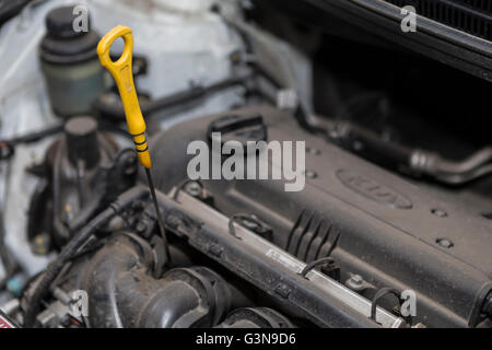 Sonde im Auto den Ölstand zu überprüfen. Stockfoto