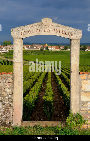 Portal des Clos De La Pucelle, Puligny Montrachet, Cote d ' or, Burgund, Frankreich Stockfoto