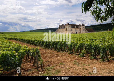 Weingut Chateau du Clos de Vougeot, Cote d ' or, Burgund, Frankreich Stockfoto