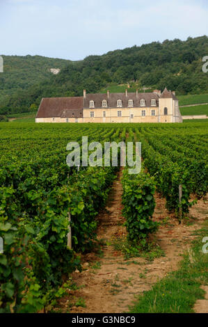 Weingut Chateau du Clos de Vougeot, Cote d ' or, Burgund, Frankreich Stockfoto