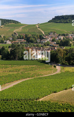 Dorf von Mercurey, umgeben von Weinbergen, Saône et Loire, Côte Chalonnaise, Frankreich, Europa Stockfoto