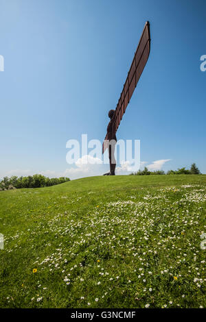 Engel des Nordens Stockfoto