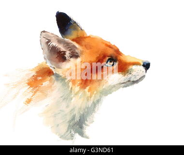 Aquarell wilde Tier Rotfuchs Hand gezeichnet Porträt Illustration isoliert auf weißem Hintergrund Stockfoto