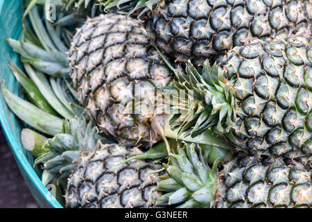 Ananas Stockfoto